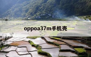 oppoa37m手机壳-oppo a37m手机壳