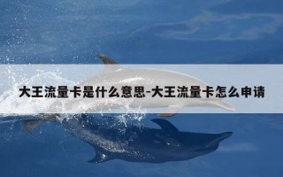 大王流量卡是什么意思-大王流量卡怎么申请