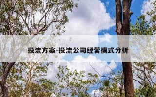 投流方案-投流公司经营模式分析