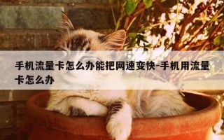 手机流量卡怎么办能把网速变快-手机用流量卡怎么办