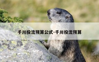 千川投流预算公式-千川投流预算