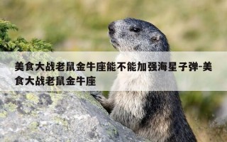美食大战老鼠金牛座能不能加强海星子弹-美食大战老鼠金牛座