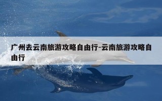 广州去云南旅游攻略自由行-云南旅游攻略自由行