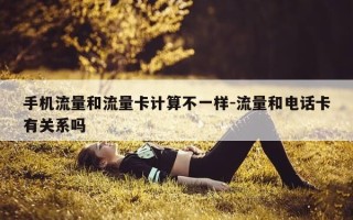 手机流量和流量卡计算不一样-流量和电话卡有关系吗