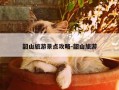 韶山旅游景点攻略-韶山旅游