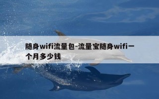 随身wifi流量包-流量宝随身wifi一个月多少钱