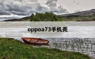 oppoa73手机壳-oppoa73手机壳和什么手机壳通用