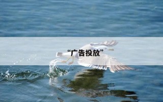“广告投放”