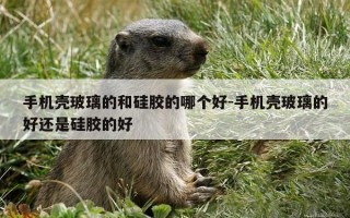 手机壳玻璃的和硅胶的哪个好-手机壳玻璃的好还是硅胶的好