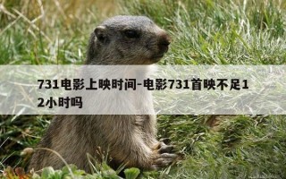 731电影上映时间-电影731首映不足12小时吗