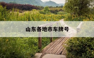 山东各地市车牌号-山东车牌号查询车主
