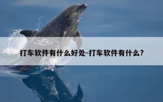 打车软件有什么好处-打车软件有什么?