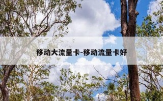 移动大流量卡-移动流量卡好