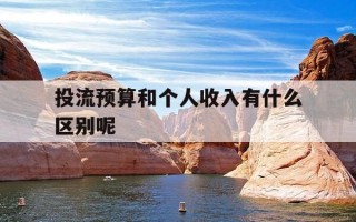 投流预算和个人收入有什么区别呢-投流占比