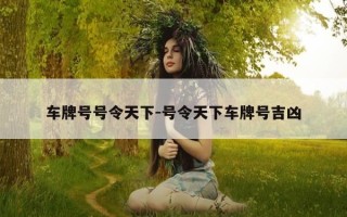 车牌号号令天下-号令天下车牌号吉凶