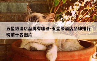 五星级酒店品牌有哪些-五星级酒店品牌排行榜前十名图片