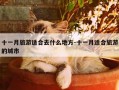 十一月旅游适合去什么地方-十一月适合旅游的城市