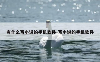 有什么写小说的手机软件-写小说的手机软件