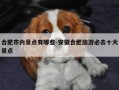 合肥市内景点有哪些-安徽合肥旅游必去十大景点