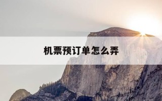 机票预订单怎么弄-预订机票怎么出票