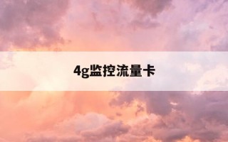 4g监控流量卡-4g监控流量卡可以用手机卡吗