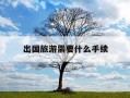 出国旅游需要什么手续-公务员出国旅游需要什么手续