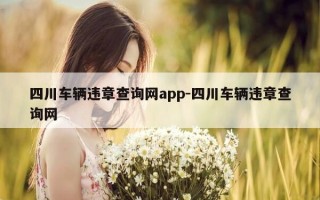 四川车辆违章查询网app-四川车辆违章查询网