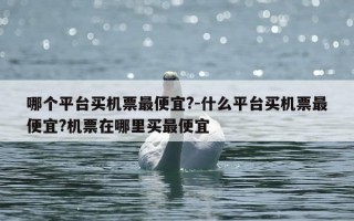哪个平台买机票最便宜?-什么平台买机票最便宜?机票在哪里买最便宜