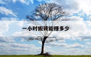 一小时搬砖能赚多少-搬砖一个小时大约赚多少