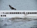 一个人去三亚旅游需要多少钱-三亚旅游需要多少钱