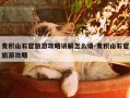 麦积山石窟旅游攻略讲解怎么请-麦积山石窟旅游攻略