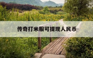 传奇打米服可提现人民币-传奇打米赚钱