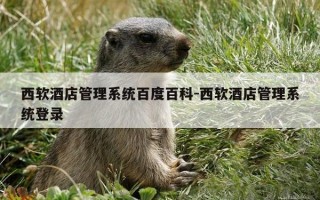 西软酒店管理系统百度百科-西软酒店管理系统登录