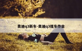 奥迪q3新车-奥迪q3提车作业