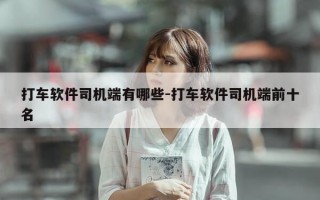 打车软件司机端有哪些-打车软件司机端前十名