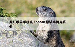 原厂苹果手机壳-iphone原装手机壳真假