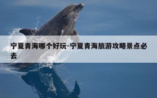 宁夏青海哪个好玩-宁夏青海旅游攻略景点必去