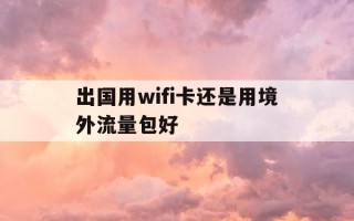 出国用wifi卡还是用境外流量包好-出国wifi还是手机卡