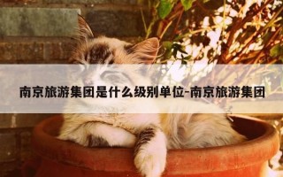 南京旅游集团是什么级别单位-南京旅游集团