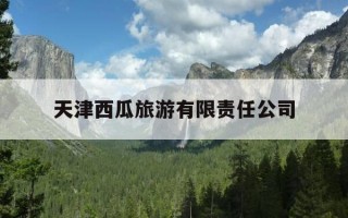 天津西瓜旅游有限责任公司-天津西瓜旅游有限责任公司是国企吗
