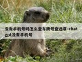 没有手机号码怎么查车牌号查违章-chatgpt没有手机号