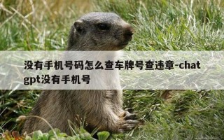没有手机号码怎么查车牌号查违章-chatgpt没有手机号