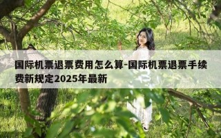 国际机票退票费用怎么算-国际机票退票手续费新规定2025年最新