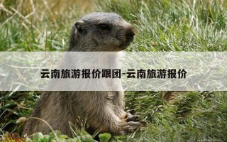 云南旅游报价跟团-云南旅游报价