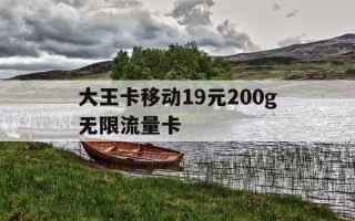 大王卡移动19元200g无限流量卡-纯流量卡在哪才能买上正规的
