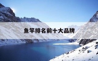 鱼竿排名前十大品牌-鱼竿排名前十大品牌多少钱一米