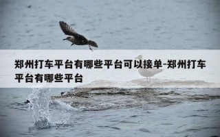 郑州打车平台有哪些平台可以接单-郑州打车平台有哪些平台