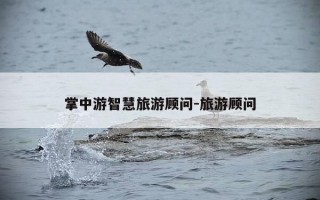 掌中游智慧旅游顾问-旅游顾问