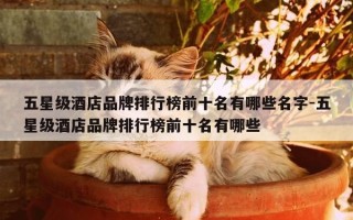 五星级酒店品牌排行榜前十名有哪些名字-五星级酒店品牌排行榜前十名有哪些