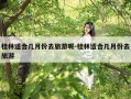 桂林适合几月份去旅游呢-桂林适合几月份去旅游